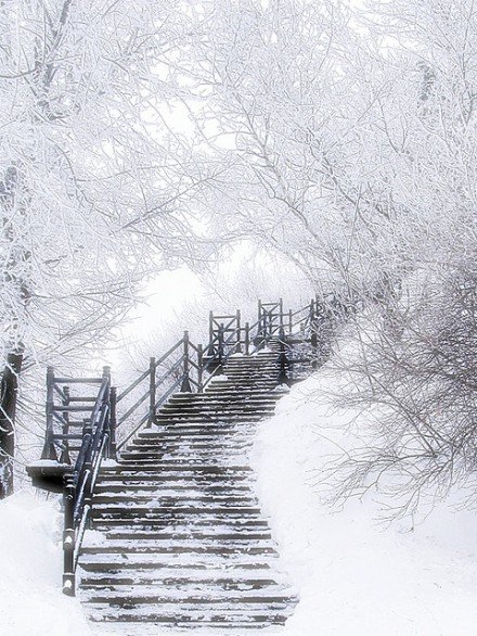 冬天 雪景 梦幻 安静 风景