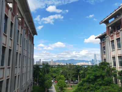 集美大学