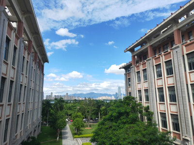 集美大学