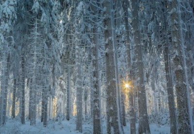 复有风云处，萧条无俗人。山寒微有雪，石路本无尘。—— 徐陵《山斋诗》