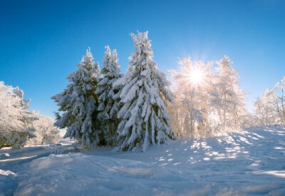 复有风云处，萧条无俗人。山寒微有雪，石路本无尘。—— 徐陵《山斋诗》