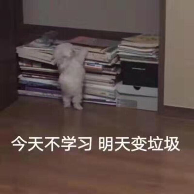 我爱学习