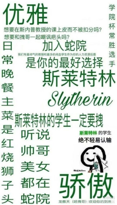 高贵的斯莱特林