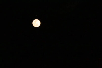 Moon 