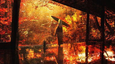 红红火火恍恍惚惚