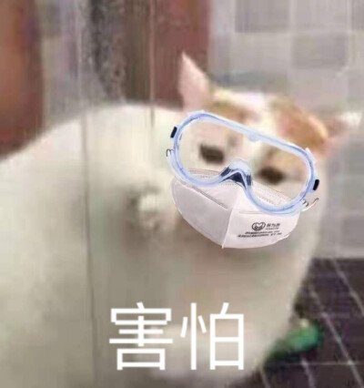 表情