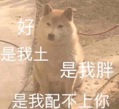 傻屌可爱表情包