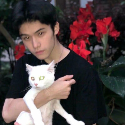 不许你再叫我先生，
否则我要从字典中查出世界上最肉麻的称呼来称呼你。
特此警告。
——朱生豪