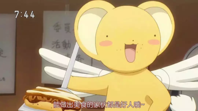 热爱世间万物 无最爱 无例外