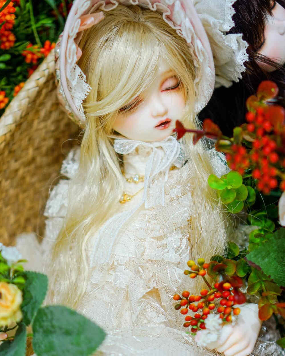 BJD♡
