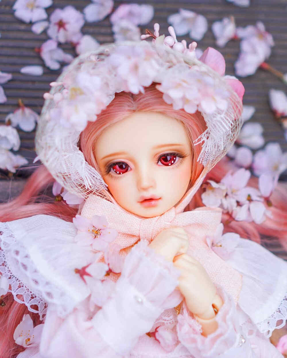 BJD♡
