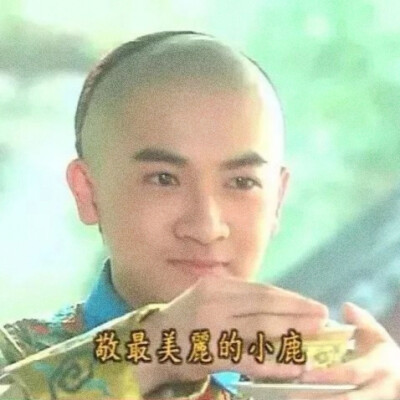 还珠格格小燕子永琪