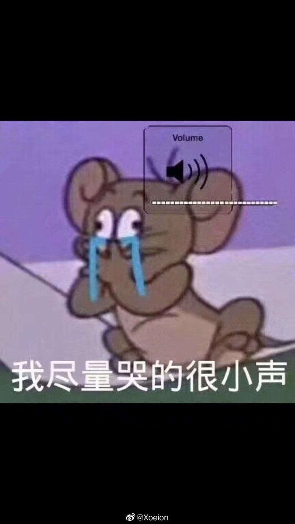 仙女必备