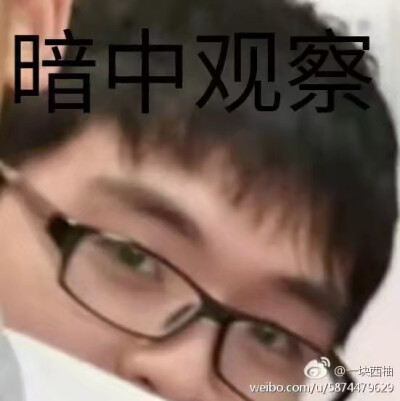 后宫