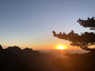 黄山，迎客松