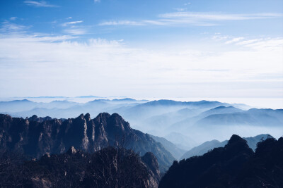 黄山，迎客松