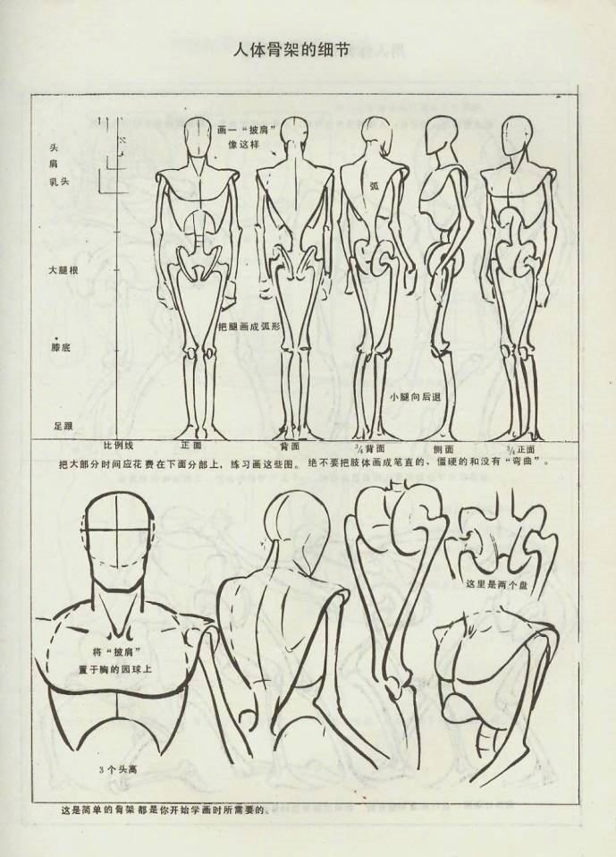 超级详细的人体结构手绘，收藏起来