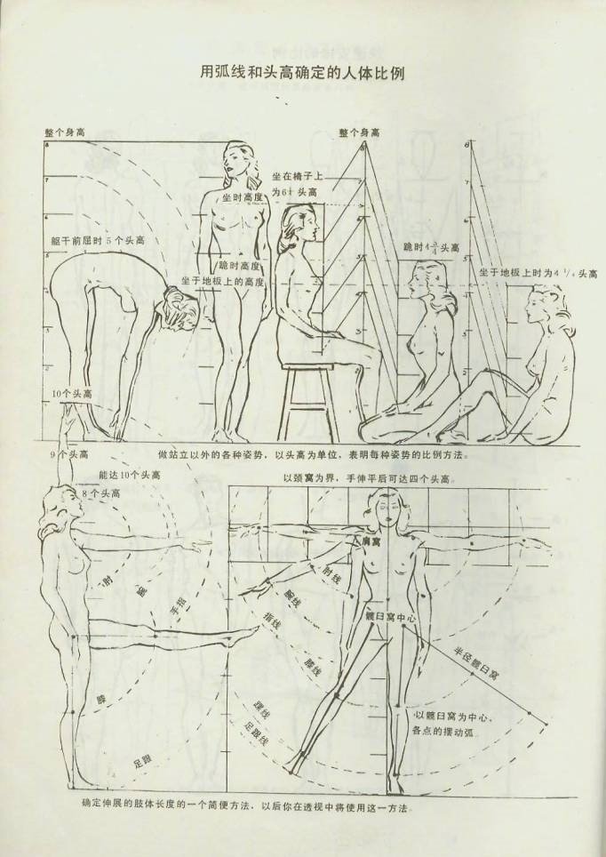 超级详细的人体结构手绘，收藏起来