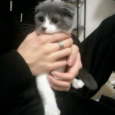 /哥哥我不渣 只是多个老婆多个家/