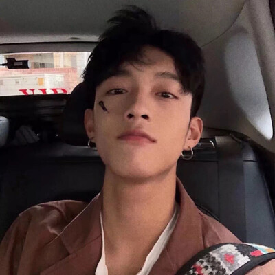 /哥哥我不渣 只是多个老婆多个家/