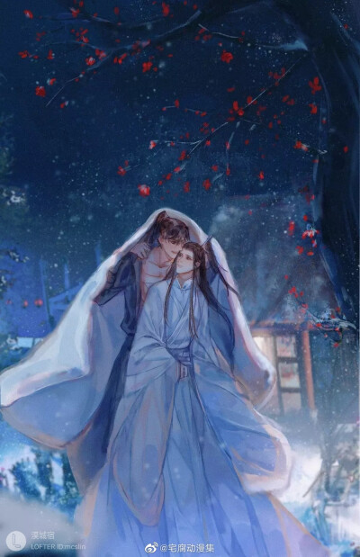 二哈和他的白猫师尊