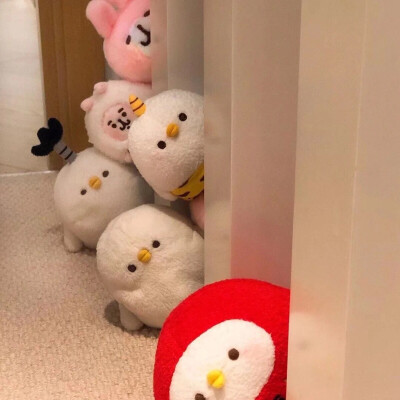 公子呀