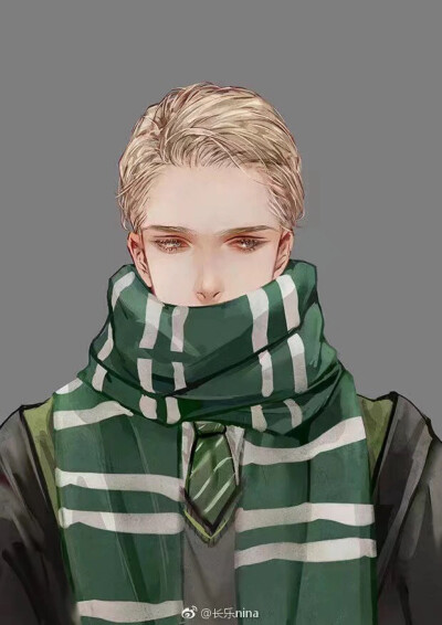 有莉莉和西弗勒斯哦