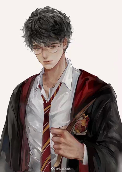 有莉莉和西弗勒斯哦