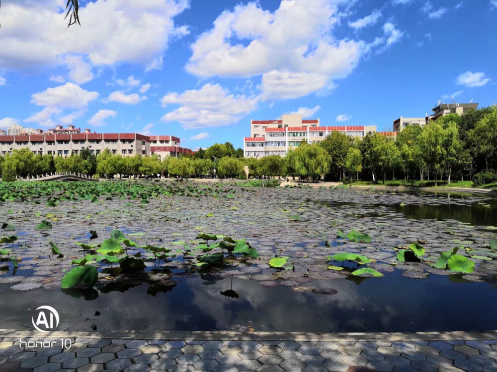 烟台大学~来自小伙伴的照片~