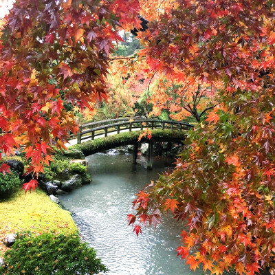 京都御所