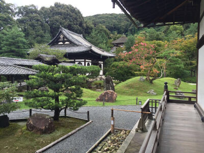 高台寺 Kodaiji