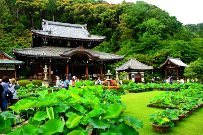 三室户寺