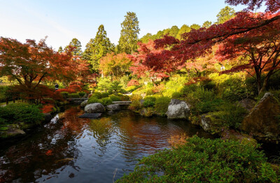 三室户寺