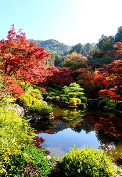 三室户寺