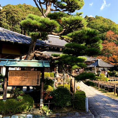 三室户寺