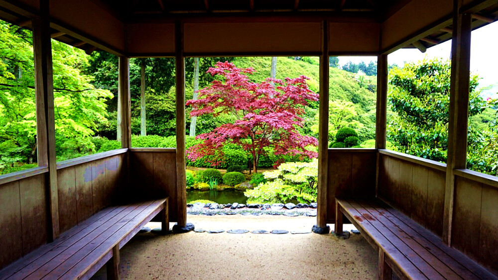 三室户寺