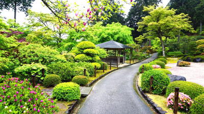 三室户寺