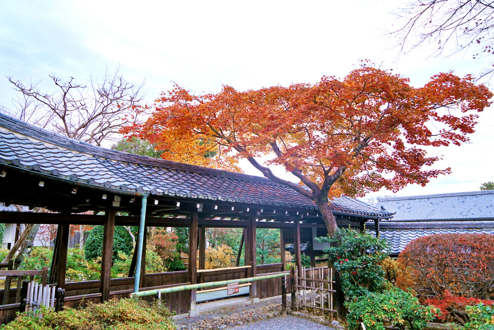 天龙寺