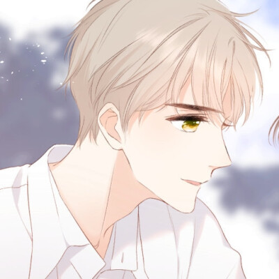 再度与你，夏时银杏