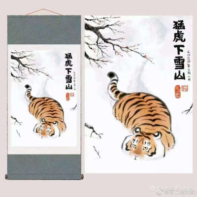 猛（萌）虎 可爱=￣ω￣= 再在家呆下去，我可能也这个体型了←_←