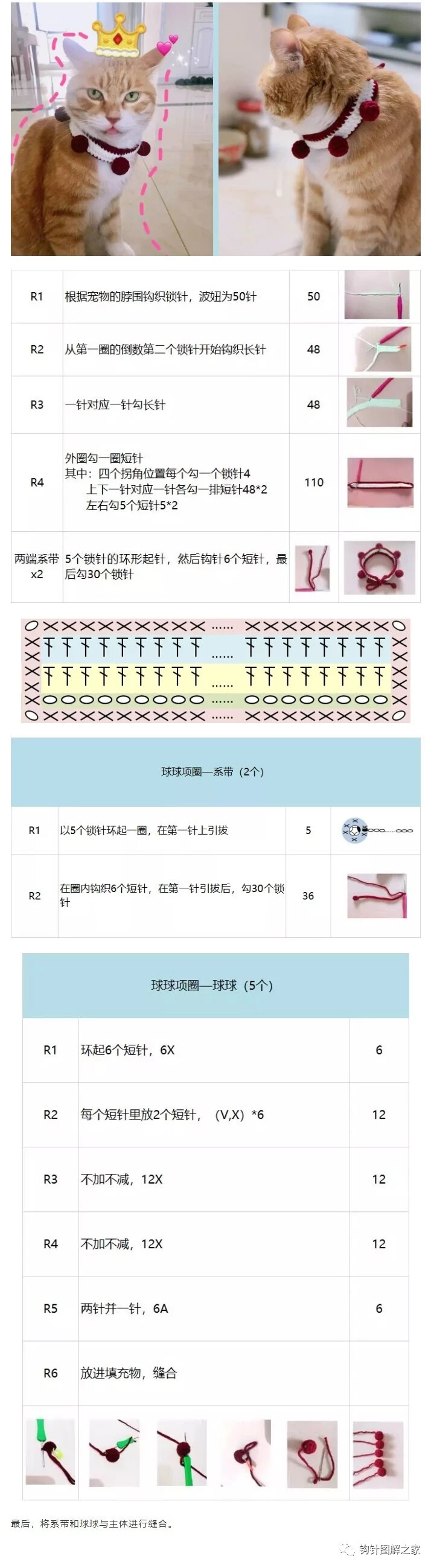 宠物项圈