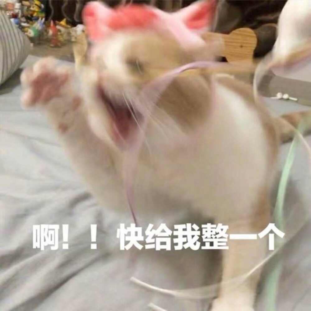 表情包