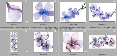 水彩粉紫色花卉装饰贺卡海报手帐边框背景图案PNG设计素材png392