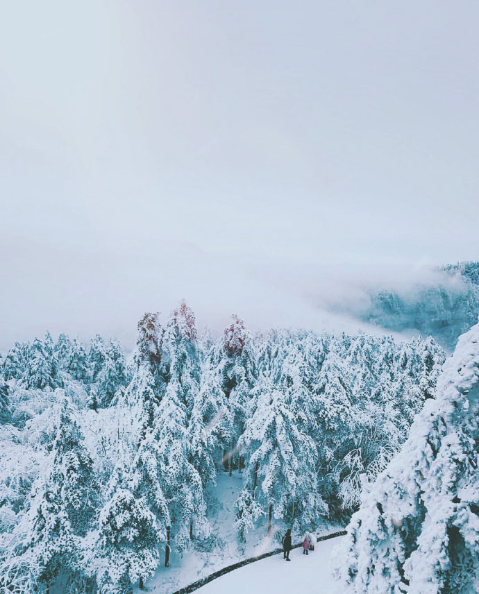 峨眉山 云拥半岭雪，花吐一溪烟！