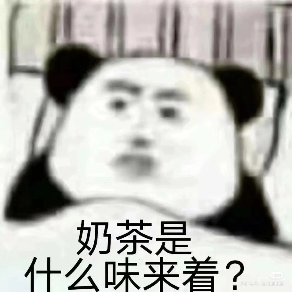 在家逼疯了