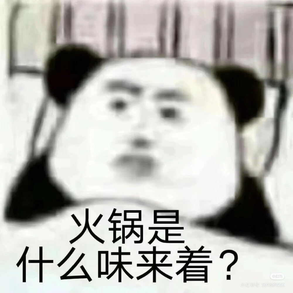 在家逼疯了