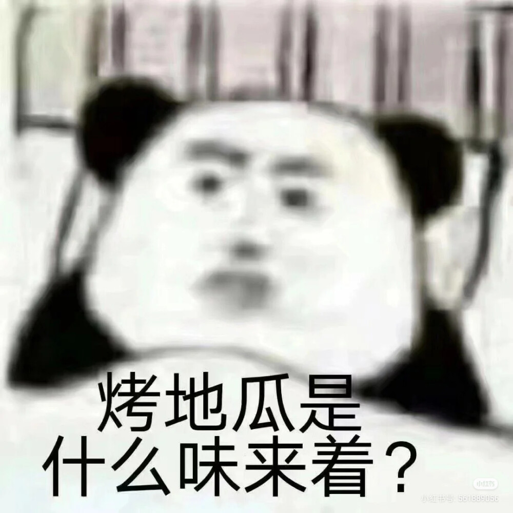 在家逼疯了