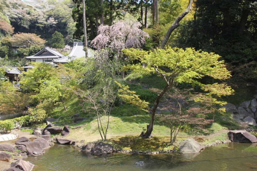 圆觉寺