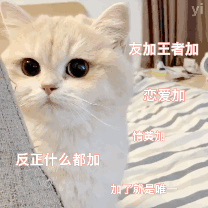 群里存的