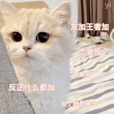 群里存的
